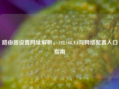 路由器设置网址解析，192.168.1.1与网络配置入口指南