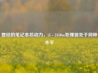曾经的笔记本芯动力，i5 - 2450m处理器处于何种水平