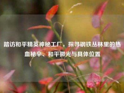 踏访和平精英神秘工厂，探寻钢铁丛林里的热血秘辛、和平微光与具体位置