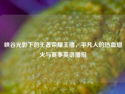 峡谷光影下的王者荣耀主播，平凡人的热血烟火与赛事英语播报