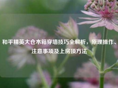 和平精英大仓木箱穿墙技巧全解析，原理操作、注意事项及上房顶方法