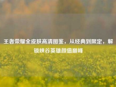 王者荣耀全皮肤高清图鉴，从经典到限定，解锁峡谷英雄颜值巅峰