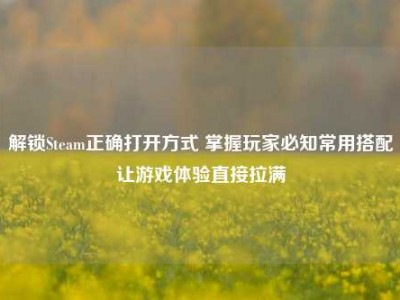 解锁Steam正确打开方式 掌握玩家必知常用搭配让游戏体验直接拉满
