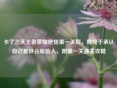 卡了三天王者荣耀绝悟第一关后，我终于承认自己是峡谷原始人，附第一关通关攻略