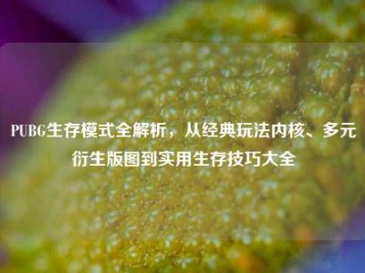 PUBG生存模式全解析，从经典玩法内核、多元衍生版图到实用生存技巧大全