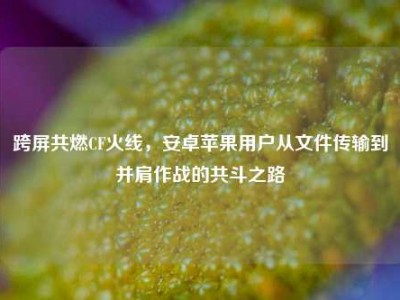 跨屏共燃CF火线，安卓苹果用户从文件传输到并肩作战的共斗之路