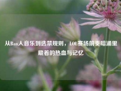 从Ban人音乐到选禁规则，LOL赛场前奏暗涌里藏着的热血与记忆
