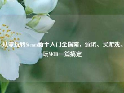 从零玩转Steam新手入门全指南，避坑、买游戏、玩MOD一篇搞定