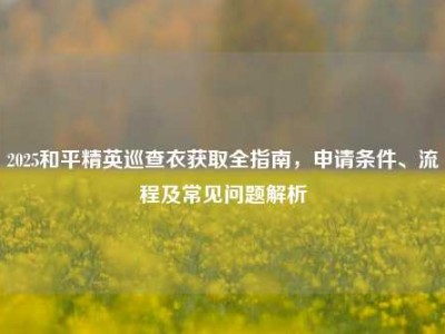 2025和平精英巡查衣获取全指南，申请条件、流程及常见问题解析