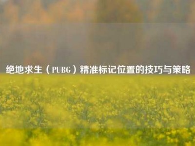 绝地求生（PUBG）精准标记位置的技巧与策略
