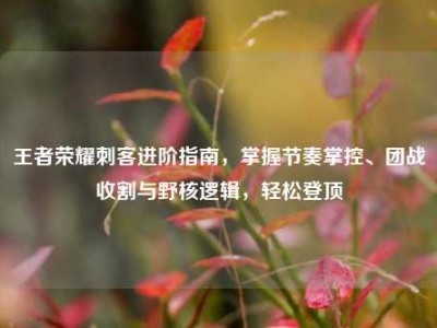 王者荣耀刺客进阶指南，掌握节奏掌控、团战收割与野核逻辑，轻松登顶