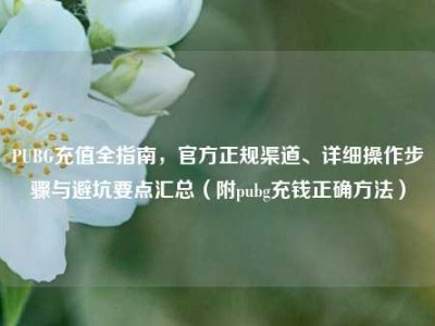 PUBG充值全指南，官方正规渠道、详细操作步骤与避坑要点汇总（附pubg充钱正确方法）