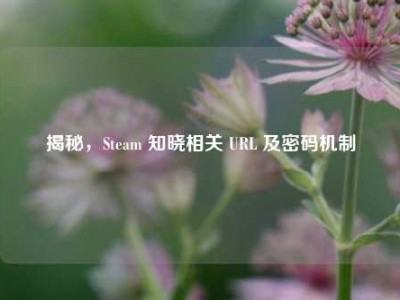 揭秘，Steam 知晓相关 URL 及密码机制