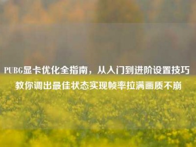 PUBG显卡优化全指南，从入门到进阶设置技巧 教你调出最佳状态实现帧率拉满画质不崩