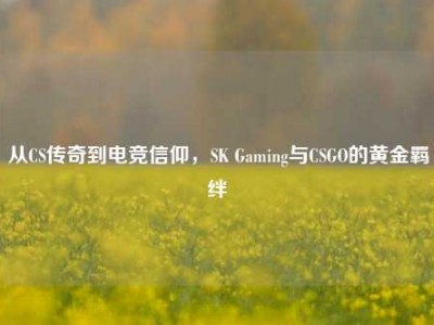 从CS传奇到电竞信仰，SK Gaming与CSGO的黄金羁绊