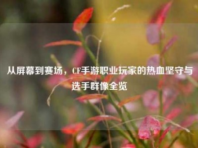 从屏幕到赛场，CF手游职业玩家的热血坚守与选手群像全览