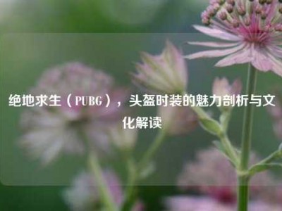 绝地求生（PUBG），头盔时装的魅力剖析与文化解读