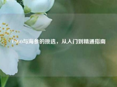 CSGO与海参的挑选，从入门到精通指南