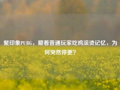 聚印象PUBG，藏着普通玩家吃鸡滚烫记忆，为何突然停更？
