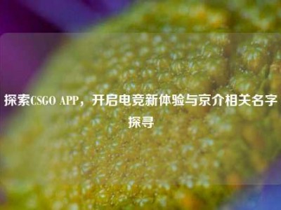 探索CSGO APP，开启电竞新体验与京介相关名字探寻