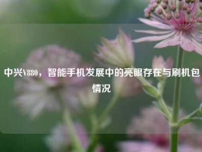 中兴V880，智能手机发展中的亮眼存在与刷机包情况