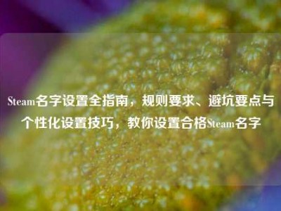 Steam名字设置全指南，规则要求、避坑要点与个性化设置技巧，教你设置合格Steam名字