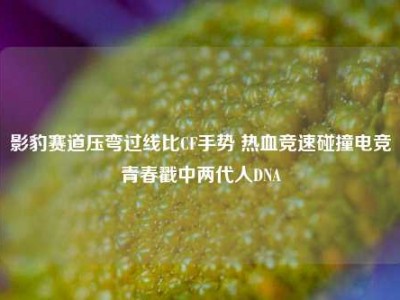 影豹赛道压弯过线比CF手势 热血竞速碰撞电竞青春戳中两代人DNA