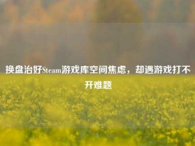 换盘治好Steam游戏库空间焦虑，却遇游戏打不开难题