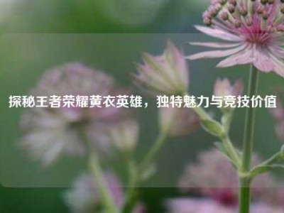 探秘王者荣耀黄衣英雄，独特魅力与竞技价值