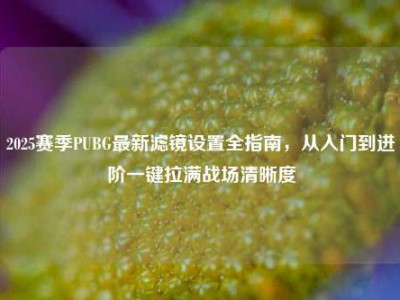 2025赛季PUBG最新滤镜设置全指南，从入门到进阶一键拉满战场清晰度