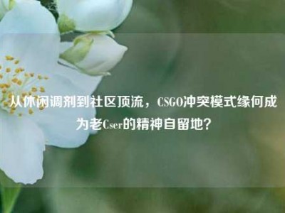 从休闲调剂到社区顶流，CSGO冲突模式缘何成为老Cser的精神自留地？