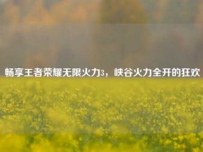 畅享王者荣耀无限火力3，峡谷火力全开的狂欢