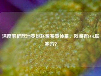 深度解析欧洲英雄联盟赛事体系，欧洲有LOL联赛吗？