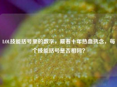 LOL技能括号里的数字，藏着十年热血执念，每个技能括号是否相同？
