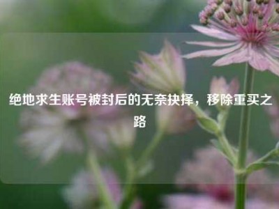 绝地求生账号被封后的无奈抉择，移除重买之路