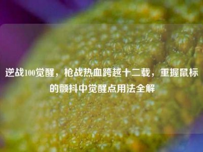 逆战100觉醒，枪战热血跨越十二载，重握鼠标的颤抖中觉醒点用法全解
