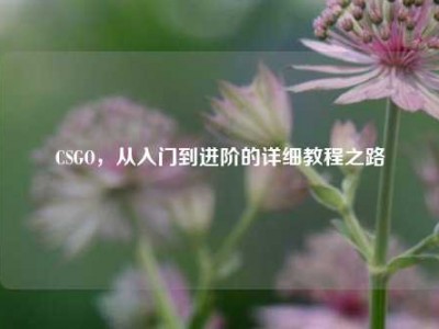 CSGO，从入门到进阶的详细教程之路