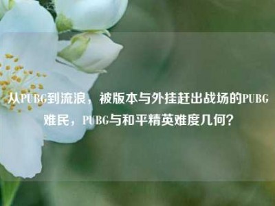 从PUBG到流浪，被版本与外挂赶出战场的PUBG难民，PUBG与和平精英难度几何？