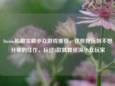 Steam私藏宝藏小众游戏推荐，这些好玩到不想分享的佳作，玩过3款就算资深小众玩家