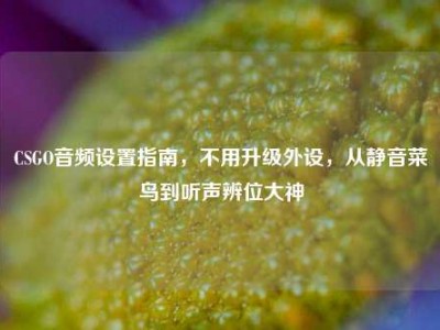 CSGO音频设置指南，不用升级外设，从静音菜鸟到听声辨位大神