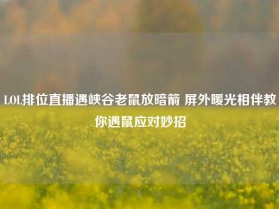LOL排位直播遇峡谷老鼠放暗箭 屏外暖光相伴教你遇鼠应对妙招