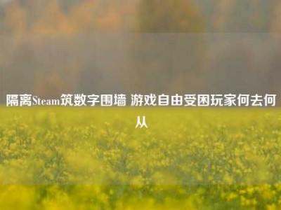 隔离Steam筑数字围墙 游戏自由受困玩家何去何从