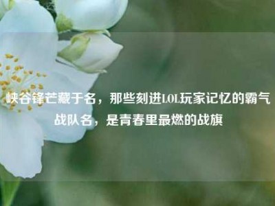 峡谷锋芒藏于名，那些刻进LOL玩家记忆的霸气战队名，是青春里最燃的战旗