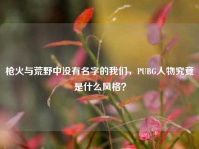 枪火与荒野中没有名字的我们，PUBG人物究竟是什么风格？
