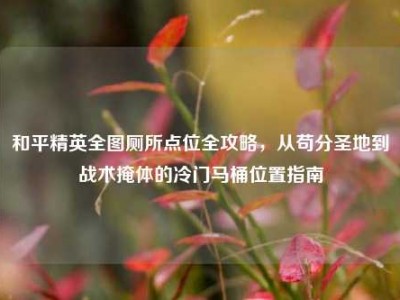 和平精英全图厕所点位全攻略，从苟分圣地到战术掩体的冷门马桶位置指南