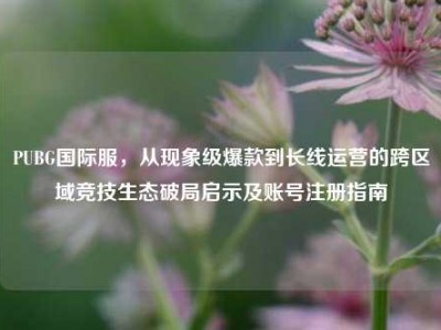 PUBG国际服，从现象级爆款到长线运营的跨区域竞技生态破局启示及账号注册指南