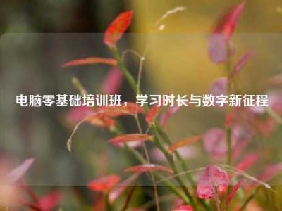 电脑零基础培训班，学习时长与数字新征程