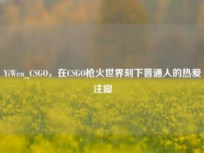 YiWen_CSGO，在CSGO枪火世界刻下普通人的热爱注脚