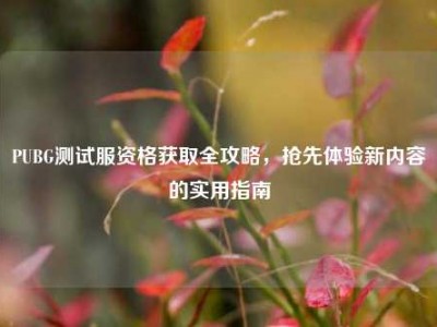 PUBG测试服资格获取全攻略，抢先体验新内容的实用指南