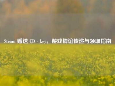 Steam 赠送 CD - key，游戏情谊传递与领取指南